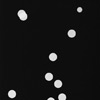 Bílé kruhy – č. 3 - 46,3 x 31,3 cm, r. 2011